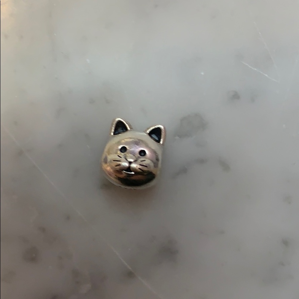 Cat Pandora charm